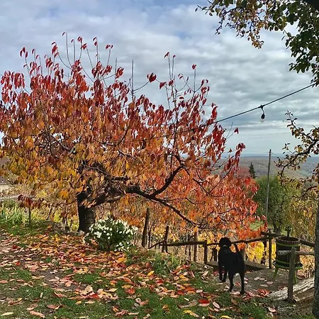 Vulkán Nyúlontúl Apartamento