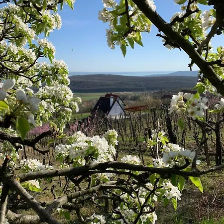 Vulkán Nyúlontúl Apartamento Mencshely