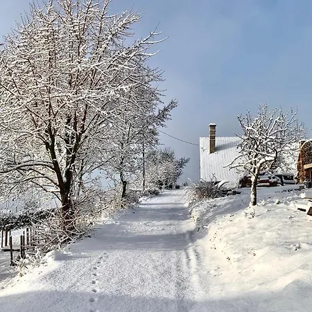 Vulkán Nyúlontúl * Mencshely