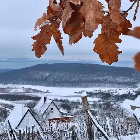 Apartamento Vulkán Nyúlontúl Mencshely