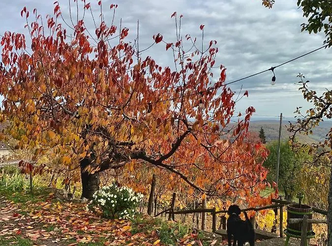 Vulkan Nyulontul 公寓