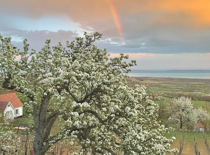 Vulkan Nyulontul 公寓 Mencshely