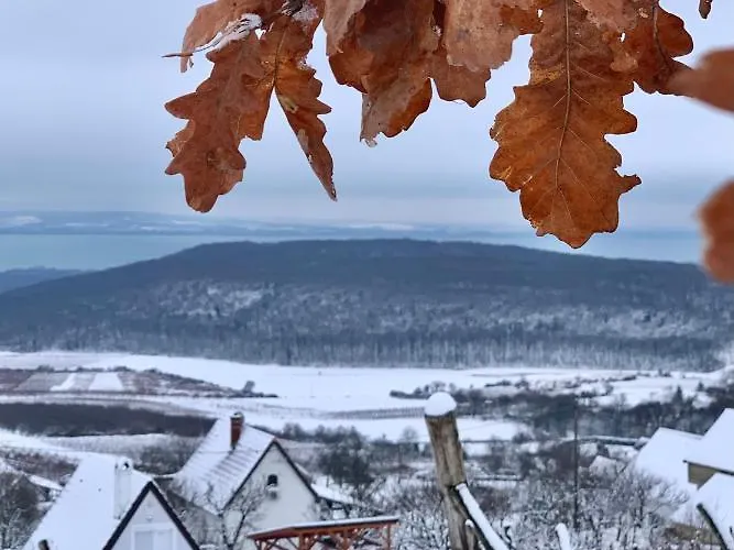 公寓 Vulkan Nyulontul Mencshely